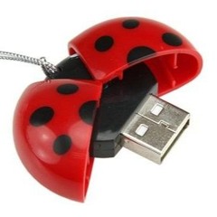 ladybugpopstar
