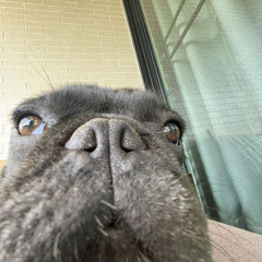 Bubby