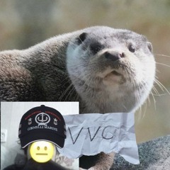 VVC GANG