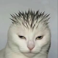 khongphaidaffy