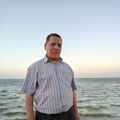 Fawzy Mouner