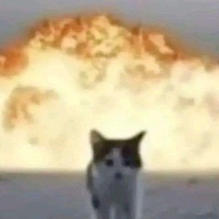 Недовольная (аутистка))