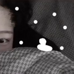 배제영