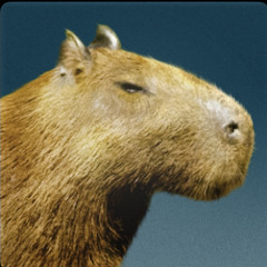 HoRATIO