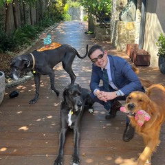 Ravioli & the Little Chef