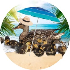 Ducky