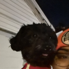 Leroy