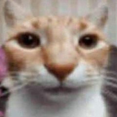 kinkle