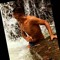 Guilherme Garcia