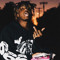 D-BOY831