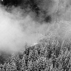 Russian Ridge (Draft)