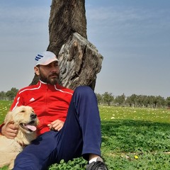 ammar almir