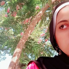 Menna Mohamed