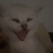 Allergic2katz