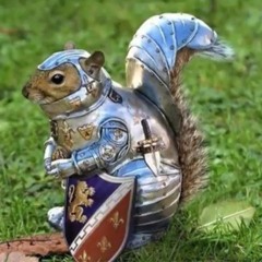 MrSquirrel946