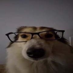 Rj De Man