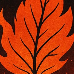 ADAN FLAME