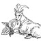 CRIED GOAT
