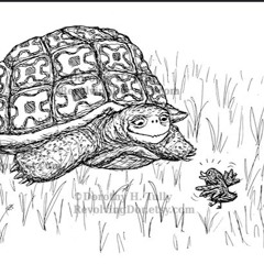 torti