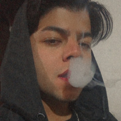 Vinicius J L Silva