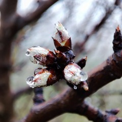 𝓜𝒾𝓁𝓮𝓷𝓪ꕤ