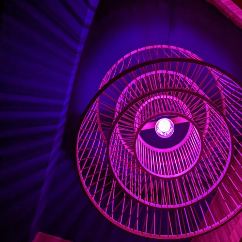 Stream So I Want You ft. Kylie Bailey (BOBCAT GOLDWAV Remix) [TikTok