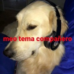 ratartista ñau