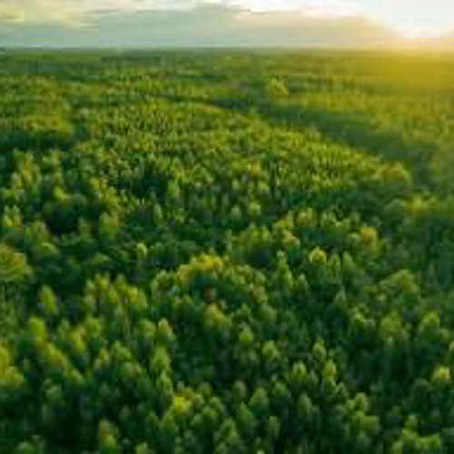 계정송17(demo)