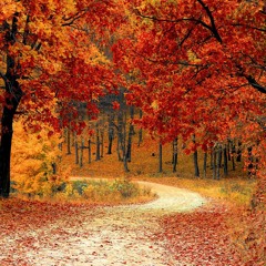 Winter Sonata - My Memory - Instrumental (Piano and violin version)