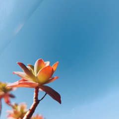 Ines>DubNesS>HappYnes :)