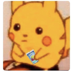 Dounga