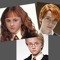 Ho Ho Home Alone