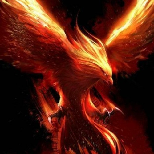Phoenix’s avatar
