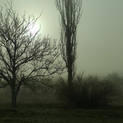 darkness