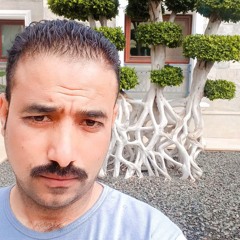 هاني عبدالله