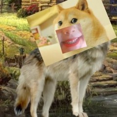 ukalik