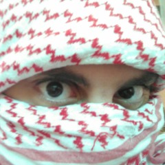 عابر سبيل