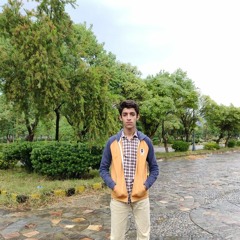 Muhammad Haseeb