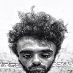 Ashraf El-namory