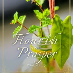 Anudinamu-Instrumental Worship