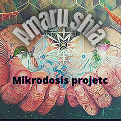 mikrodosis project by amaru shia