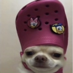 I’m HaiAnh