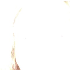 lavv