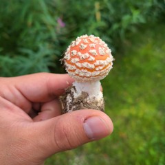 chance the other rapper