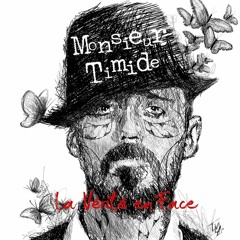 Monsieur Timide