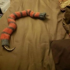 SnakeCEC