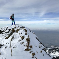 Krawczyk Downs