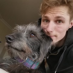 Tom Winters Solo Project