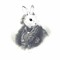 Tom Rabbit