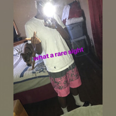 n3wp0rt